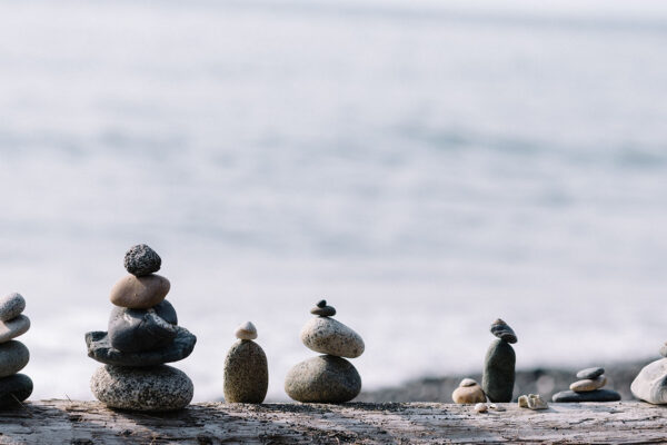 Implementing a Financial Wellness Program for Your Employees: A Guide